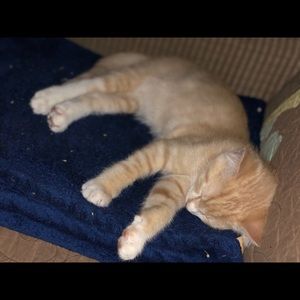 Meet your Posher, Andrew